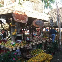 Feria de Penonome - Penonome