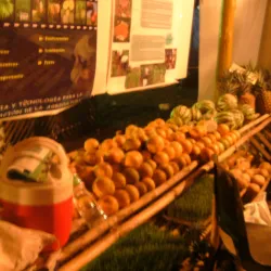 Feria de Penonome - Penonome