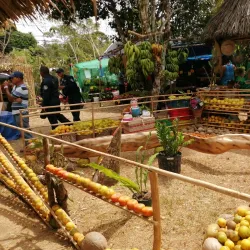 Feria de Penonome - Penonome
