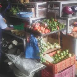 Mercado Público de Penonome - Penonome