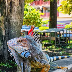 Parque Miguel de Cervantes - Penonome