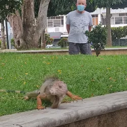 Parque Miguel de Cervantes - Penonome