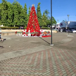Parque Miguel de Cervantes - Penonome