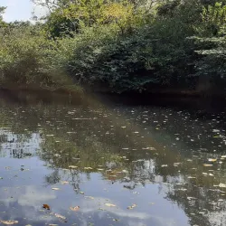 Río Coclé - Penonome