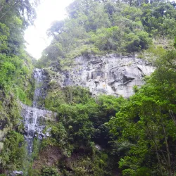 Barú Volcano National Park - Puerto Armuelles