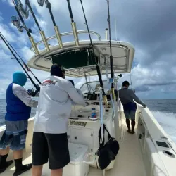 Fishing Tours - Puerto Armuelles