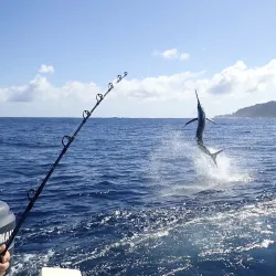 Fishing Tours - Puerto Armuelles