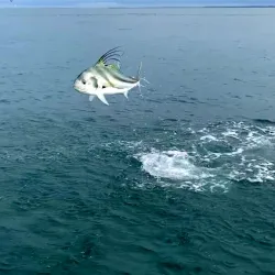 Fishing Tours - Puerto Armuelles