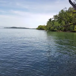 Isla Boca Brava - Puerto Armuelles
