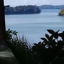 Isla Boca Brava - Puerto Armuelles