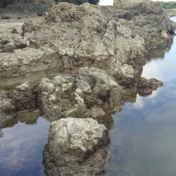 Isla Boca Brava - Puerto Armuelles