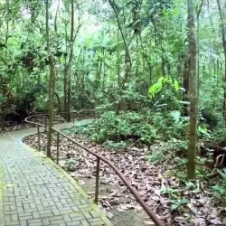 Soberania National Park - Río Hato