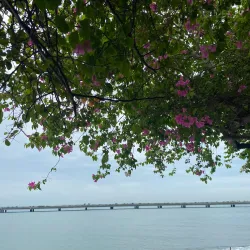 Murales de San Miguelito - San Miguelito