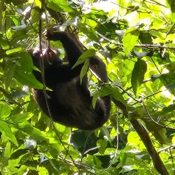 Parque Metropolitano de San Miguelito - San Miguelito