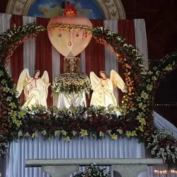 Catedral de Santiago Apóstol - Santiago