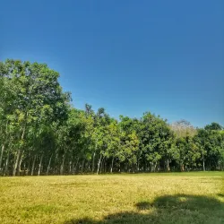 Parque Central de Santiago - Santiago