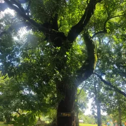 Parque Temático de Veraguas - Santiago