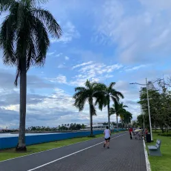 Cinta Costera - Tocumen