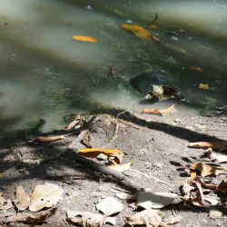 Parque Metropolitano - Tocumen