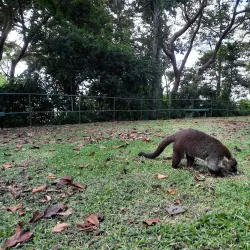 Parque Metropolitano - Tocumen