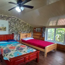 Birdwatching Tours - Volcán