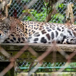 El Valle de Anton (Day Trip) - Volcán