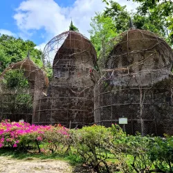 El Valle de Anton (Day Trip) - Volcán