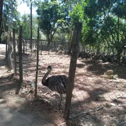 El Valle de Anton (Day Trip) - Volcán