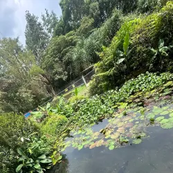 El Valle de Anton (Day Trip) - Volcán