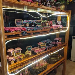 Local Artisanal Shops - Volcán