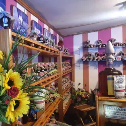 Local Artisanal Shops - Volcán
