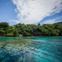 Coral Reefs Snorkeling - Aitape