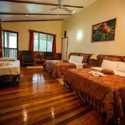 Coral Reefs Snorkeling - Aitape