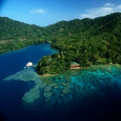 Coral Reefs Snorkeling - Aitape