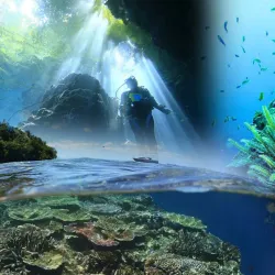 Coral Reefs Snorkeling - Aitape