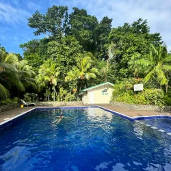 Coral Reefs Snorkeling - Aitape
