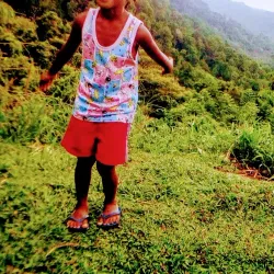 Sepik River (Nearby) - Aitape