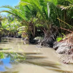 Sepik River (Nearby) - Aitape