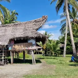 Sepik River (Nearby) - Aitape