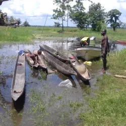 Sepik River (Nearby) - Aitape