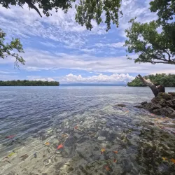 Tami Islands - Aitape