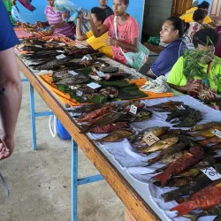 Alotau Market - Alotau