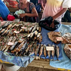 Alotau Market - Alotau