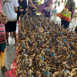 Alotau Market - Alotau