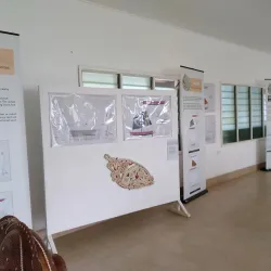 Milne Bay Provincial Museum - Alotau