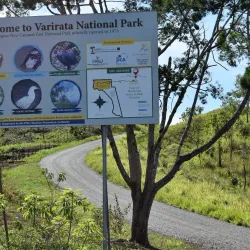 Bird Watching Spots - Amau