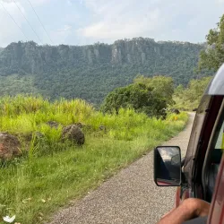 Bird Watching Spots - Amau