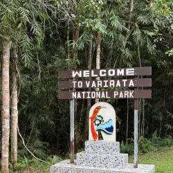 Bird Watching Spots - Amau