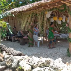 Local Village Tours - Amau