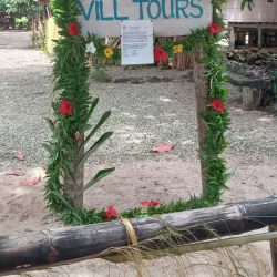 Local Village Tours - Amau